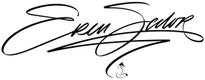 Elegant cursive logo with a signature style.