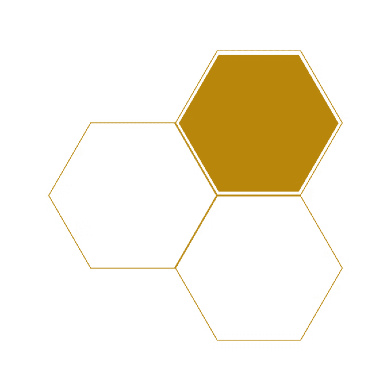 Gold hexagon with two black outlines