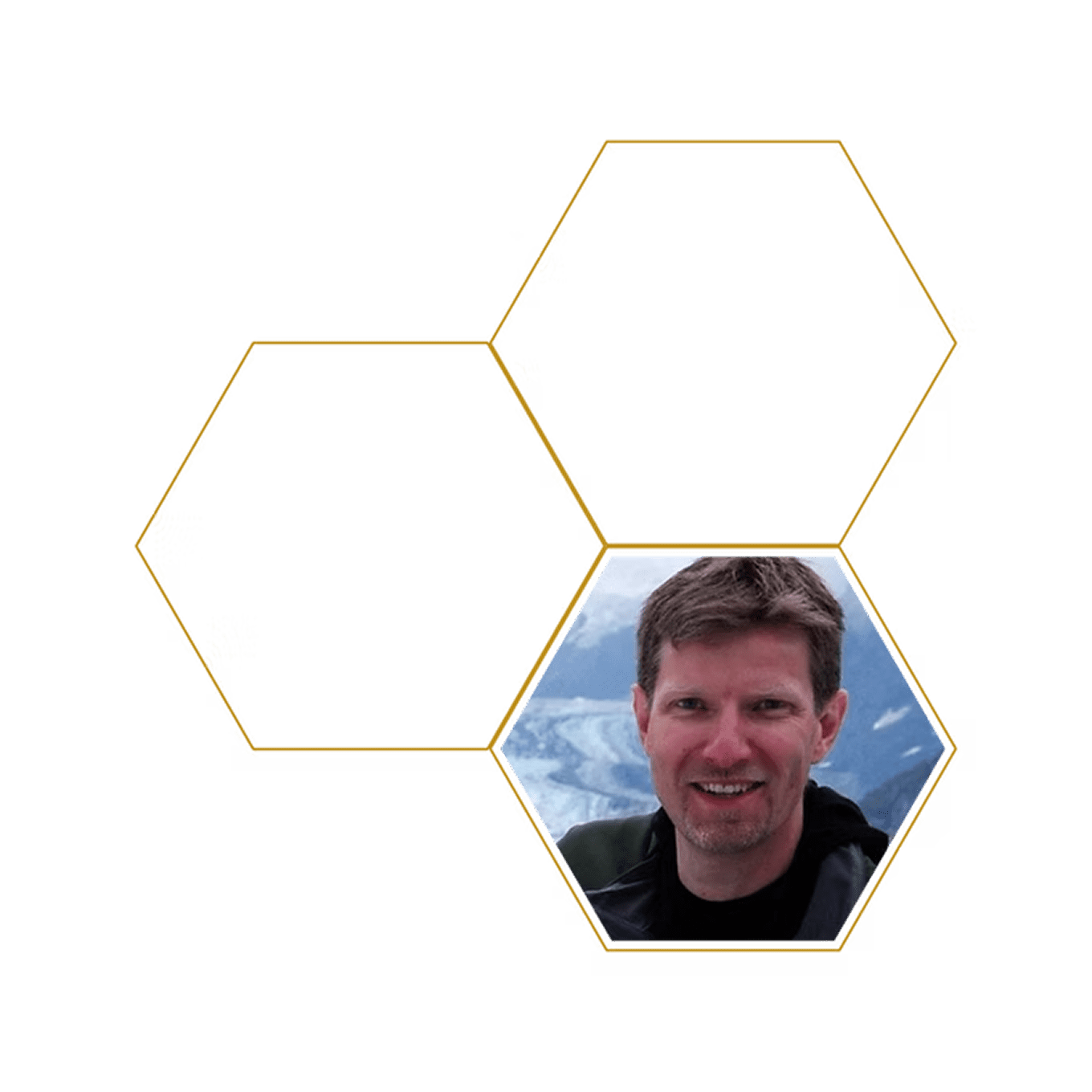 Hexagon photo collage with mountain background