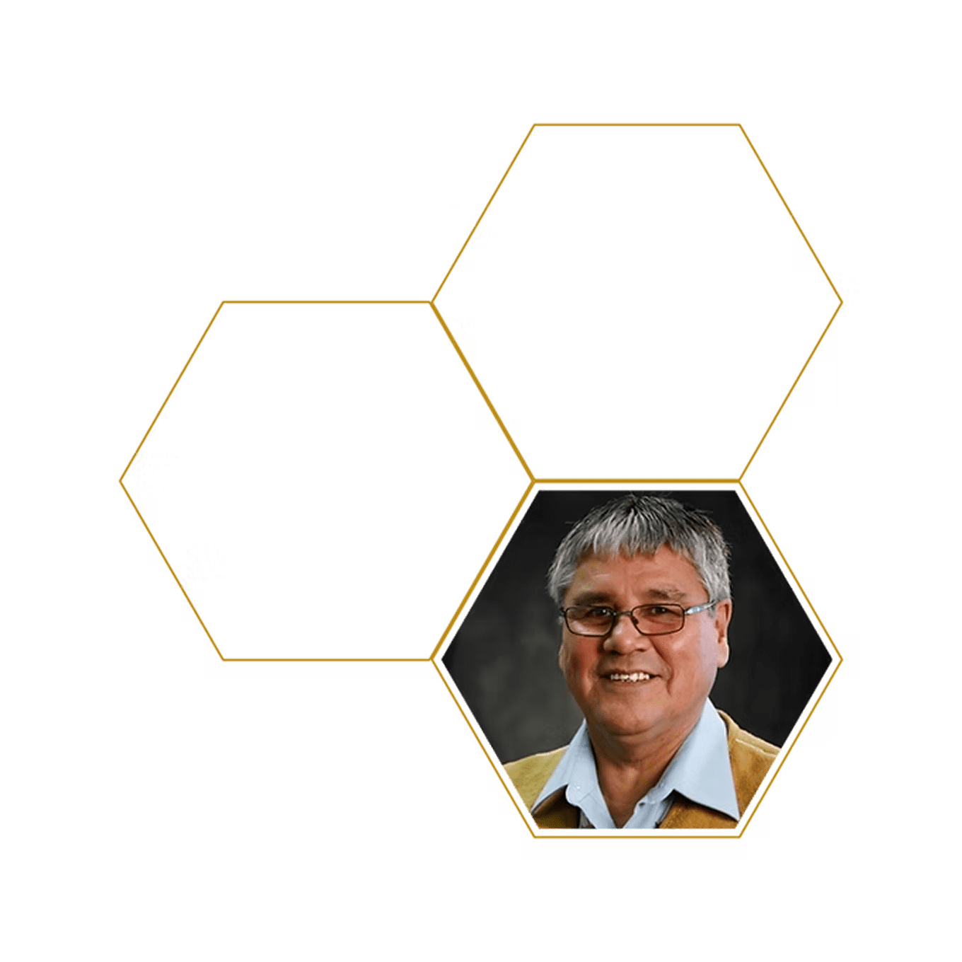 Hexagon pattern with one portrait photo.