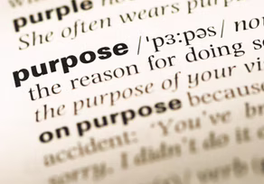 Word "purpose" highlighted in text